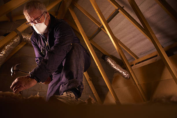 Best DIY Insulation Kits and Guidance in Pikeville, TN