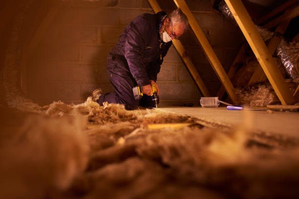 Best Geographic-Specific Insulation Services in Pikeville, TN