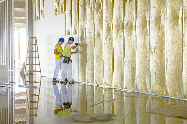 Best Spray Foam Insulation in Pikeville, TN